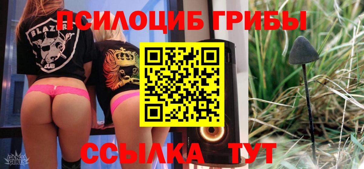 Псилоцибиновые грибы мицелий Красноармейск