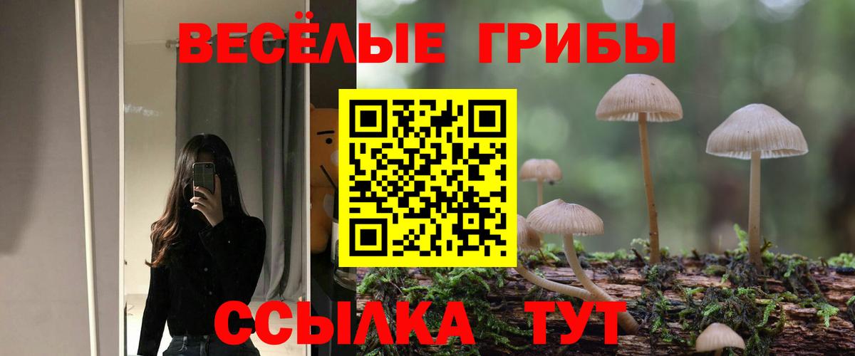 Красноармейск  Галлюциногенные грибы ЛСД  Вход с VPN 